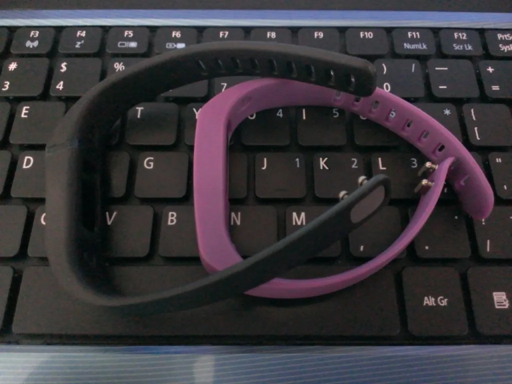 Fitbit Flex