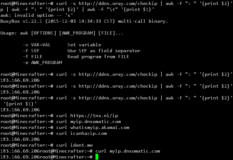 curl 返回外网 IP 终端截图