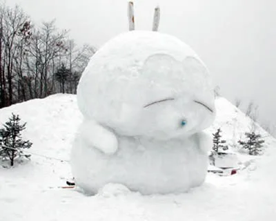 寒冷的流氓兔
