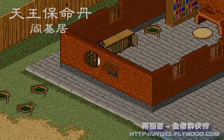 天王保命丹
